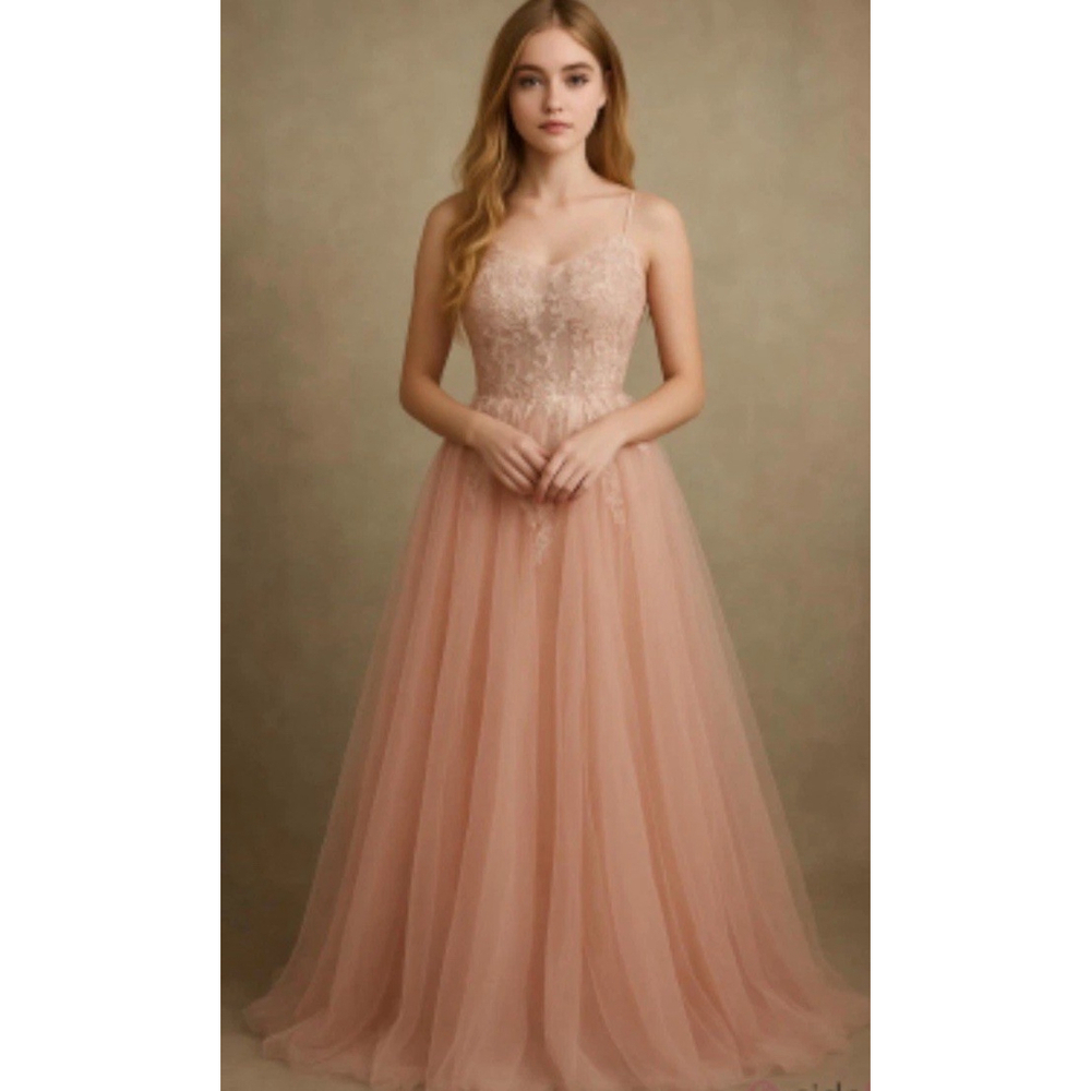 Stacees NWT Size 0 Blush Pink Tulle Skirt
Formal Princess Dress Ballgown